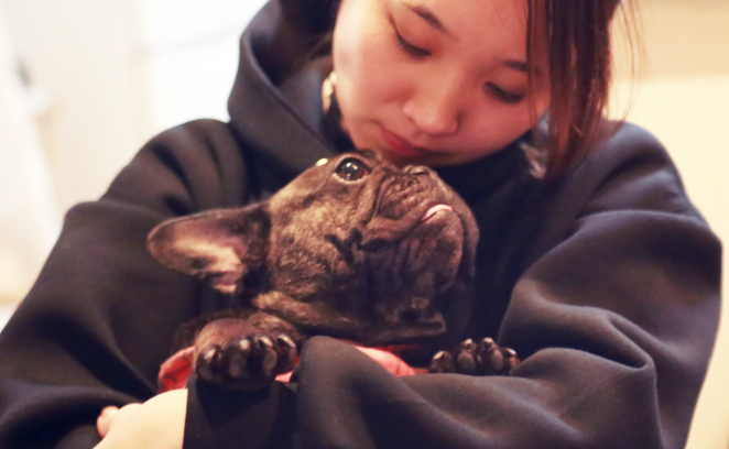 兵庫県 ３0代 女性 デザイナー